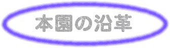 {̉v